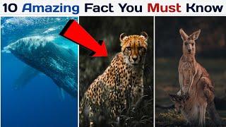 10 Amazing Animal Facts you must know | Animal Facts | Wisdom Waves