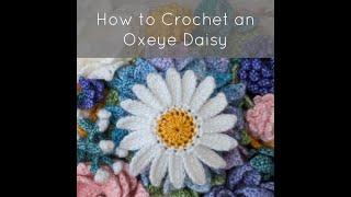 How to Crochet an Oxeye Daisy (Right-handed)