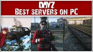 The BEST PC Servers You Need to Play on DayZ