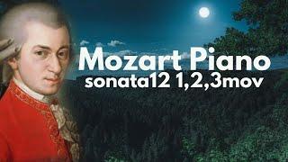 Mozart piano sonata 12 1,2,3mov 모차르트 피아노 소나타 12 #모차르트피아노소나타 #mozartpianosonata