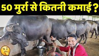 महाराष्ट्र का टॉप क्वालिटी मुर्रा भैंस फार्म | Murrah Price, Business Plan & Profit | Live Milking