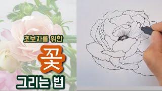 Drawing flowers for beginners (self-study/basic drawing/how to draw well/ drawing flowers-1)