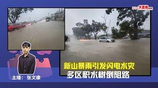 大柔佛三分钟 | 新山暴雨引发闪电水灾 多区积水树倒阻路