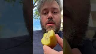 eating kiwi with skin on