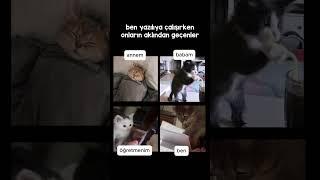 Gerçekten yazılıya çalışıyorsundur 
