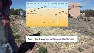 Organic Straw Bale Garden Set Up - BrainStorm Acres Off Grid Homestead