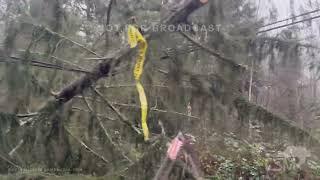 11-24-2024 Snohomish, WA  - Forest Flattened by Mountain Wave Gust