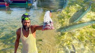 Jamaica Sunrise Tv Father Buying Fish For Dinner || Rasta Vibes Yard Man Style…￼