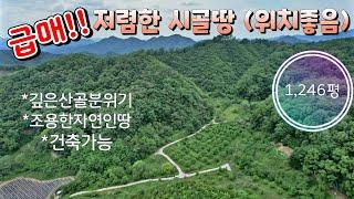 매물번호10316경북 상주/6850만/저렴한 급매 토지/산 속 시골땅/조용한 시골땅/농막놓기좋은 곳/상주 옥천 보은 영동