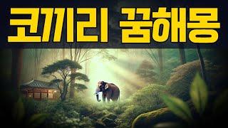 코끼리 꿈해몽, 코끼리가 나오는 상황별 해석 30가지 제공 #꿈해몽 #코끼리