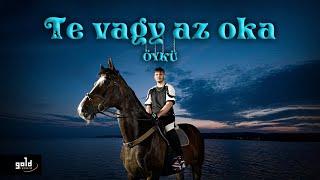 Kiss Kevin – Te vagy az oka | Official Visualizer