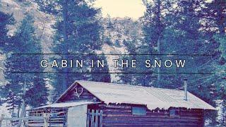 Cabin in the Snow: Celebrating My Birthday in the Mountains!