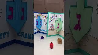 Chanukah Dreidel Pop Up Card | Easy Paper Craft