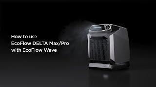How to Use Delta Pro/Max With EcoFlow Wave