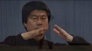 Tai Chi Qi Gong Raise Up Press Down Exercise
