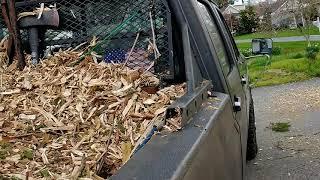 1995 F350 diesel pulling a tree  over.