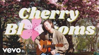 Gooseberry - Cherry Blossoms (Official Video)