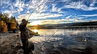 Catching A Big Rainbow Trout Right At Sunrise | Big Bear Lake California Fishing #micetails