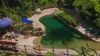 A Natural Swimming Pool, looks like a conventional pool but 100% chemical-free with living water!