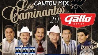 CANTON MIX CAMINANTES 2024 DJ FERNANDO