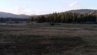 Tuolumne Meadows Pan.AVI