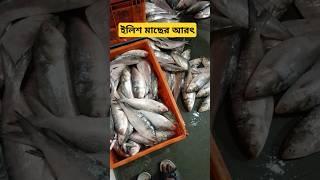 Hilsa packaging for export #fishingvideo #fishing #fish