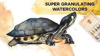 Schmincke Super Granulating Watercolors - Desert Palette - Swatching and Painting Reptiles