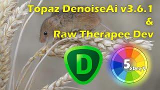 Topaz Denoise AI v3.6.1 Raw Noise Reduction & Simple Raw Therapee Process.