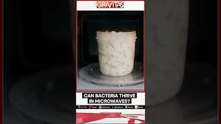 Can bacteria thrive in microwave? | Gravitas Shorts