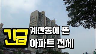 [급매물2-706] 긴급 계산동에 뜬 아파트 전세!! 즉시입주가능, 계양구청, 계양경찰서 근거리, 홈플러스 , 롯데마트 근거리, 최저가, 시세이하, 반값부동산, 핵급매