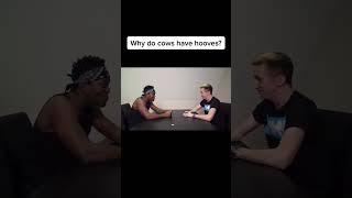 Why do cows have hooves?