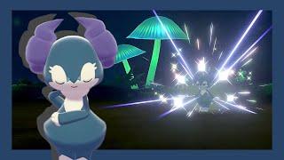 LIVE!! Wimessir shiny à 5% après 137 rencontres sur Pokémon Épée (Phase 4) [FULL ODDS]