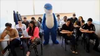 Delfin English School - Harlem Shake