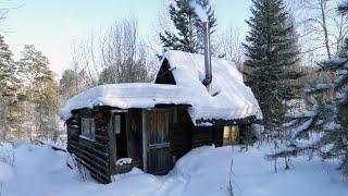 A man found an old hut in the forest and put it in order. Day 6