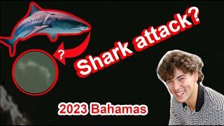 Shark Attack in the Bahamas? Cameron Robbins   Louisiana Teen Jumps Overboard on Dare