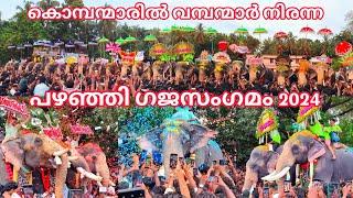 കൊമ്പന്മാരിൽ വമ്പന്മാർ നിരന്ന പഴഞ്ഞി ഗജസംഗമം 2024 || പഴഞ്ഞി ഗജസംഗമം 2024 ||