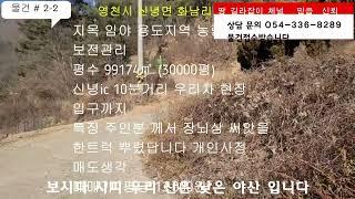 영천시 땅길라잡이 채널을 찾아 주셔서 감사 합니다 오늘 안내 드릴 물건은 신녕면 화남리 좋은 임야 를 안내 합니다 주인분 께서 공을 많이 드렸다고 하시면서 개인적인사정으로 매도결정