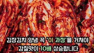 (김장 3일차)김장양념 섞자마자 버무리시나요? 꼭! '이 과정'을 거쳐야 감칠맛이 10배 상승하고 먹음직스런 빛깔의 김장김치가 됩니다/큰다라이X/설거지X