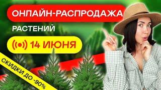 ОНЛАЙН РАСПРОДАЖА ЭКОПЛАНТ  Растения по себестоимости!