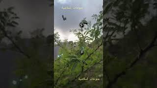 من اذكار الصباح/منوعات اسلامية