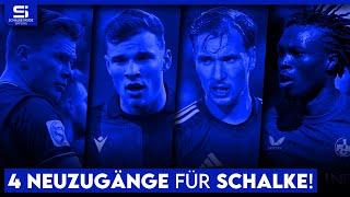 Back-up für Sylla! Diese Stürmer sind günstig und können Schalke sofort helfen! | S04 Analyse