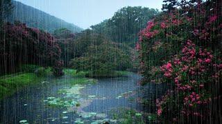 ASMR: Summer Rain Sounds on a Crape Myrtle Pond