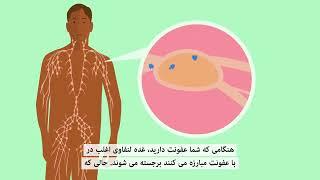 What is cancer? (Dari) | سرطان چیست؟ (دری) | Macmillan Cancer Support