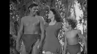 Tarzan's New York Adventure (1942) Slideshow!