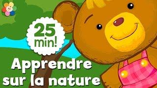 Apprendre sur la nature | Dessins animés éducatifs pour les enfants | BabyFirst