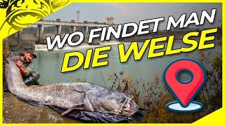 Wo FINDET man DIE WALLER ?? | An diessen Stellen fängst du Welse! | Welsangeln am Fluss und See