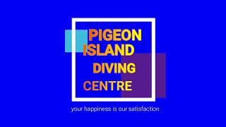 pigeon island diving centre..