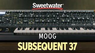 Moog Subsequent 37 Sweetwater Bonus Banks — Daniel Fisher