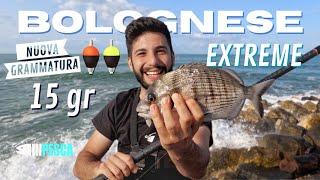 BOLOGNESE EXTREME | Saraghi Big nella scaduta con i nuovi galleggianti artigianali in EVA da 15gr