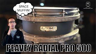 Peavey Radial Pro 500 is the cheapest Peavey Snare!